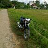 pinehas282