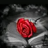 user.samira21