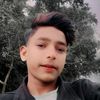majidansari8081