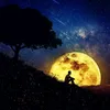 iibrahem.touama