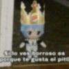 asu17._y4