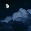 briggit___