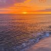 johncollin_mcwhorter