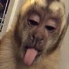 samantha_25_