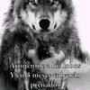 moisesfavi25638