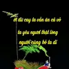 user8fhlgc2c3n0