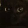 pindabota