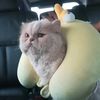 wanlapaprettycat