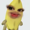 bae_ani_