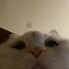 tugvy_1404
