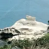 .alecks1