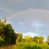 ngc.ip.trn38