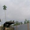 japadrhan