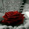 xgh_74
