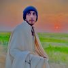 shehzadahmad559
