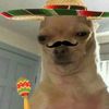 mexicoontop_