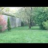 saramiisilda_n_n