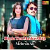 singermehranali