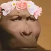 userff5zdqnl1n