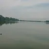 rhyzue_
