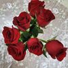 user2382220012781mohammd