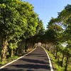 quangtong635