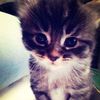 inbar_1411luga.si