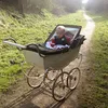 carolwright37