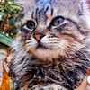 alaeddin_bell