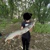 .9mario