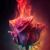 my_darkness_life