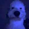 facu03734