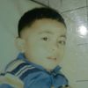 llsaepul