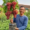 petani_mandiri