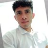will_nr