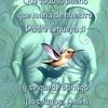 yohanabermudez793