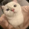 lyn_lyn_62