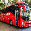 alexreyes4265