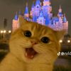 d_ddelisaaa