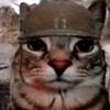 wlf_fz
