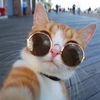 meltedmarshmallow_