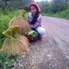 wa_aini