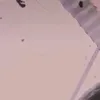 sinagaalok