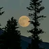 rrraaassmm333
