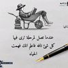 user3626921073941