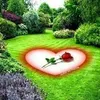carrom__king8