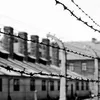 Holocaust(memory page)