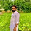 muhammadnouman6929
