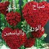 qwuy_79