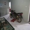 standart_recing27